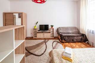 Апартаменты BV Apartments Cozy in Center Львов Стандартные апартаменты-16