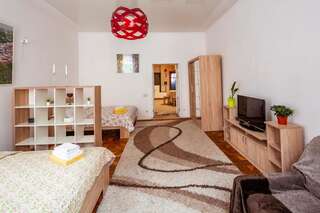 Апартаменты BV Apartments Cozy in Center Львов Стандартные апартаменты-19
